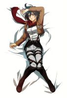 attack_on_titan_-_mikasa_20130914_049.jpg